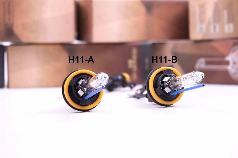 H11B Bulb